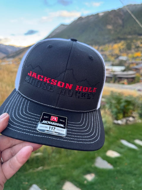 Moose Hockey in the Tetons