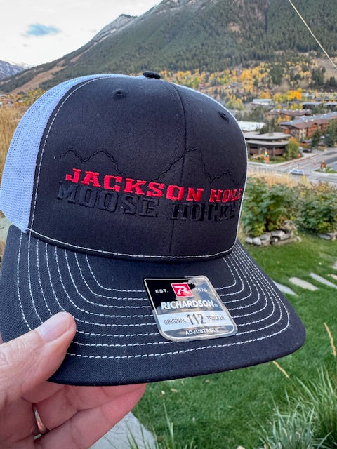 Moose Hockey in the Tetons