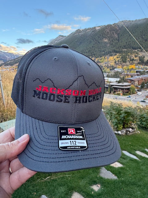 Moose Hockey in the Tetons
