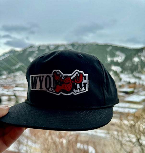 Lariat Ball Cap
